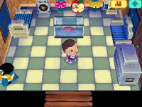 Inneneinrichtung Animal Crossing: Wild World