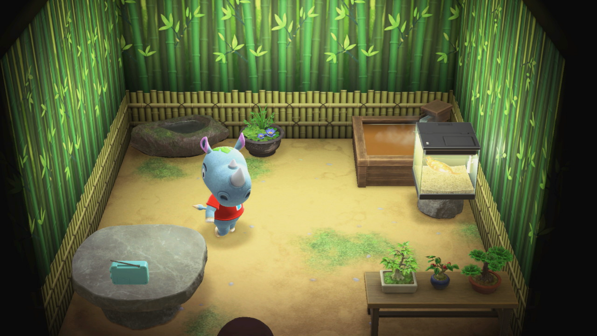 Frank - Animal Crossing Wiki Frank - Animal Crossing Wiki