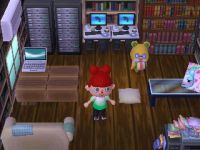 Inneneinrichtung Animal Crossing: New Leaf
