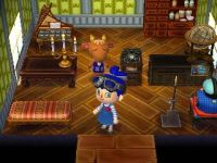 Inneneinrichtung Animal Crossing: New Leaf