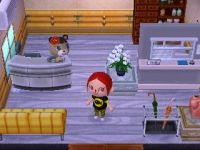 Inneneinrichtung Animal Crossing: New Leaf