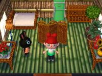 Inneneinrichtung Animal Crossing: New Leaf
