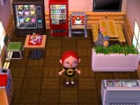 Inneneinrichtung Animal Crossing: New Leaf