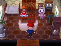 Inneneinrichtung Animal Crossing: New Leaf