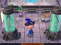 Inneneinrichtung Animal Crossing: New Leaf