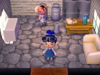 Inneneinrichtung Animal Crossing: New Leaf