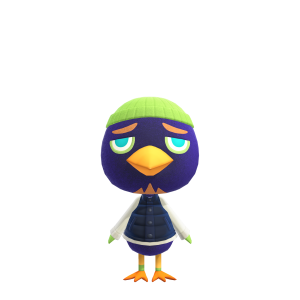 Pierre
