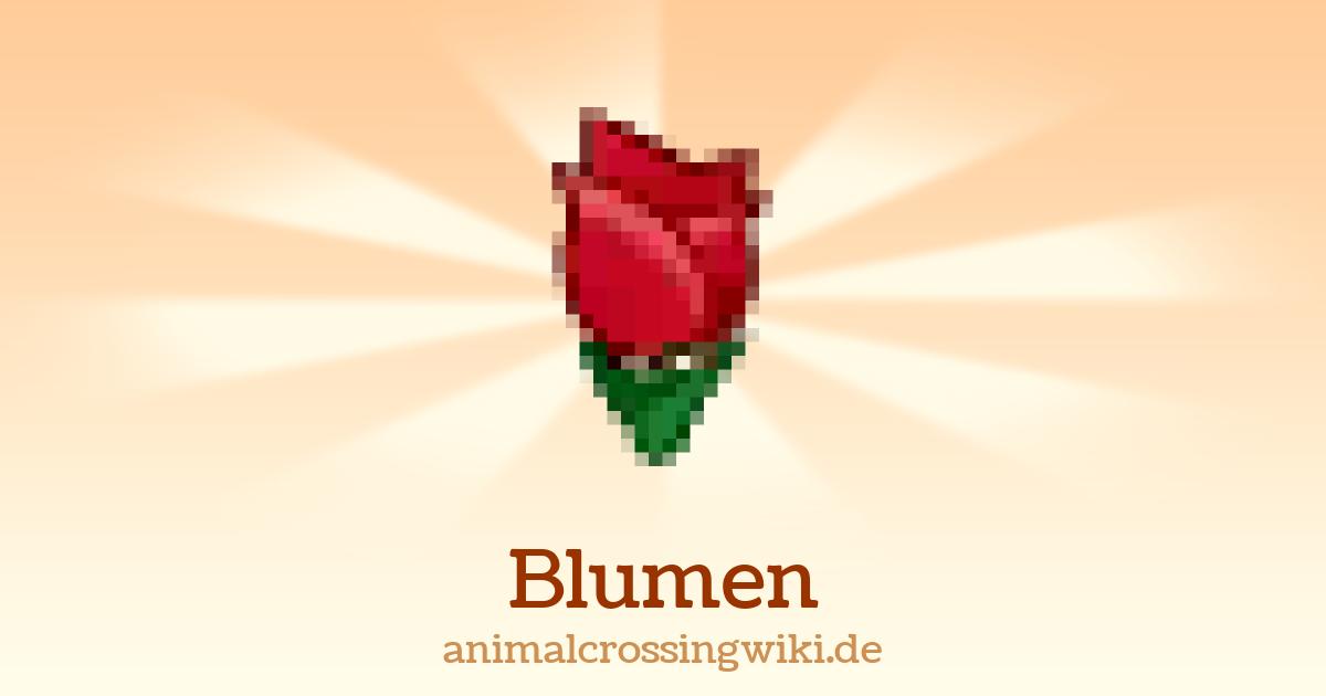 glücksfeder welcher dünger Glücksfeder (Zamioculcas zamiifolia) kaufen