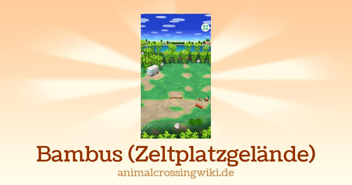 bambus ist gelb geworden Gelber Laufbambus - Phyllostachys aureosulcata aureocaulis