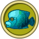 napoleonfish.png