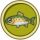 rainbow-trout.png