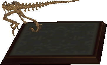 raptor-torso.png