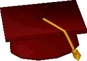 Abschlusshut