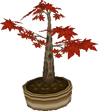 ahorn-bonsai.png