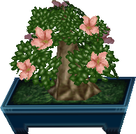azaleen-bonsai.png