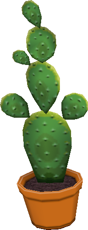 kaktus.png
