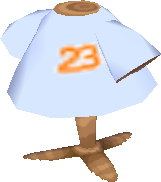 nr._23-outfit.png