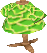 Papaya-Outfit