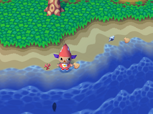 Muscheln am Strand
