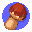 Pilz
