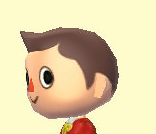 jungsee.png