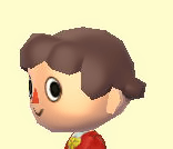 jungspp.png