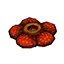 Rafflesie
