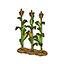 Maispflanzenreihe