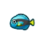 surgeonfish