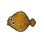 olive flounder