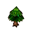 small cedar