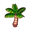 fruit-free palm tree