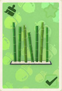 bambus-wandschirm.png