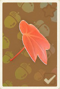 ahornschirm.png
