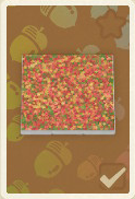 herbstlaubboden.png