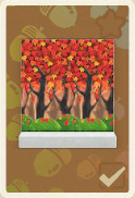 herbstlaubtapete.png