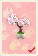 kirschblueten-bonsai.png