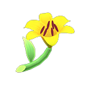 pyrenaeenlilie.png