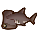 hammerhai.png