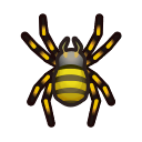 spinne.png