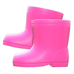 shoeskneerainboots4.png