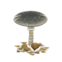 ftrmushroomparasol_remake_2_0.png