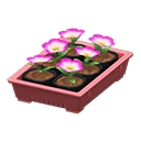 ftrnurseryplant_remake_4_0.png