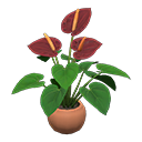 ftrplantanthurium_remake_1_0.png