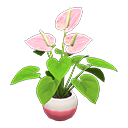 ftrplantanthurium_remake_3_0.png