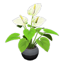 ftrplantanthurium_remake_4_0.png