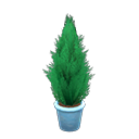 ftrplantgoldcrest_remake_1_0.png
