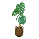 ftrplantmonstera_remake_1_0.png