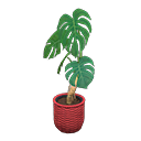 ftrplantmonstera_remake_2_0.png