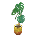 ftrplantmonstera_remake_3_0.png